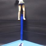 バンブードラゴンフライ