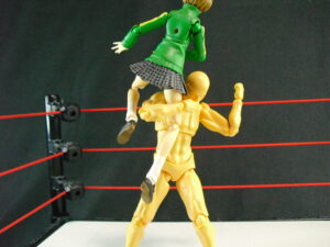 フェアリーブリンク　なつぽい　