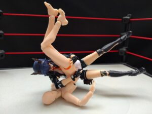 タイガーフロウジョン　丸藤正道