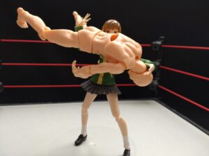 みちのくドライバーII　TAKAみちのく