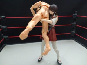 無双・改　力皇猛
