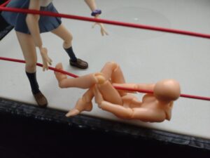 ロープパラダイス　ミラノコレクションA.T.