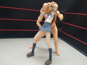 サムソンドライバー　豹