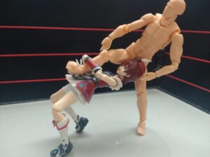 ドラゴンスクリュー　藤波辰爾