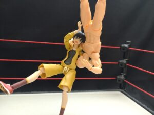 垂直落下式DDT　橋本真也