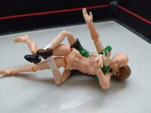 コブラホールド　大谷晋二郎
