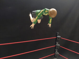 魔法少女にわとり野郎　坂崎ユカ