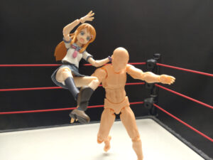 コタロークラッシャー　ケニー・オメガ　