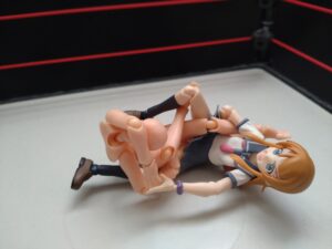 ゴライアス・バードイーター　岩佐拓