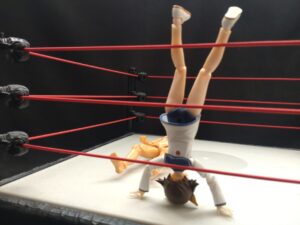 ゴージャススーパースターエルボー　ゴージャス松野