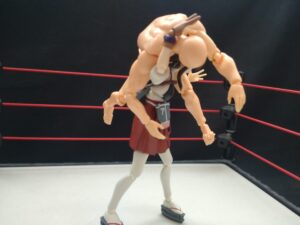 紫電改　角田奈穂