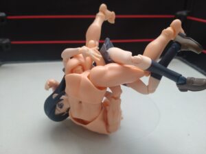 完璧首固め　丸藤正道