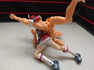 シートベルト　ロビー・イーグルス