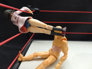 ミッキーブーメラン　MIKAMI