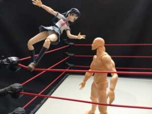 ビーナスシュート　藤本つかさ