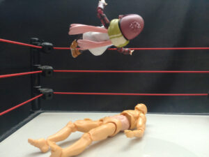 キャノンボールドロップ　入江茂弘