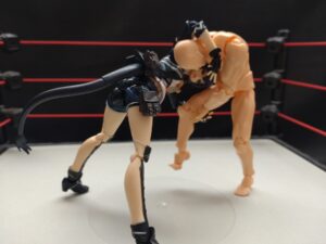 スターネスダストγ　秋山準