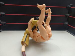 盛艶のうねり　真琴