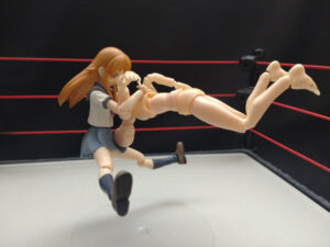 リバースタイガードライバー　葛西純