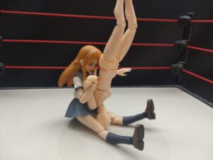 垂直落下式リバースタイガードライバー　葛西純