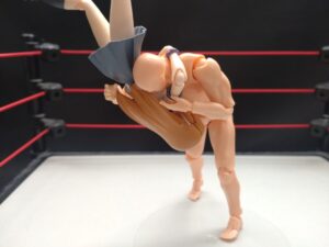 エスペランサ　内藤哲也