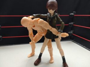 スーパービュー踊り子　らく